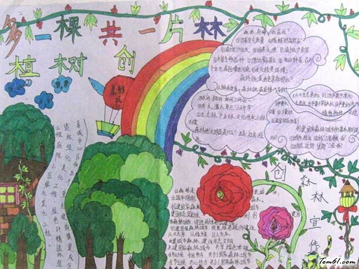 世界森林日手抄报版面设计图12