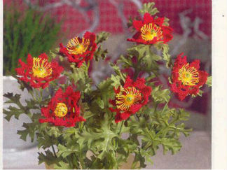 手工钩花的编法和编织教程