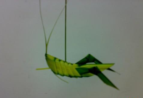 蚱蜢的编法和编织教程
