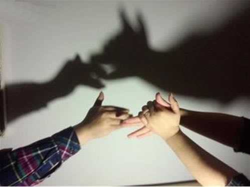 两只撕咬的小狗