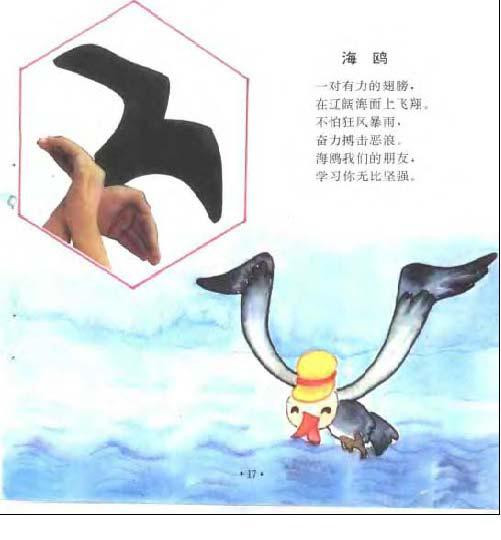 海鸥图片1