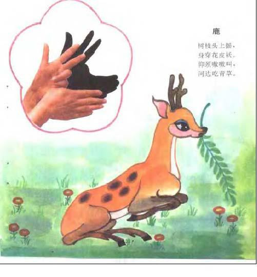 鹿2图片1