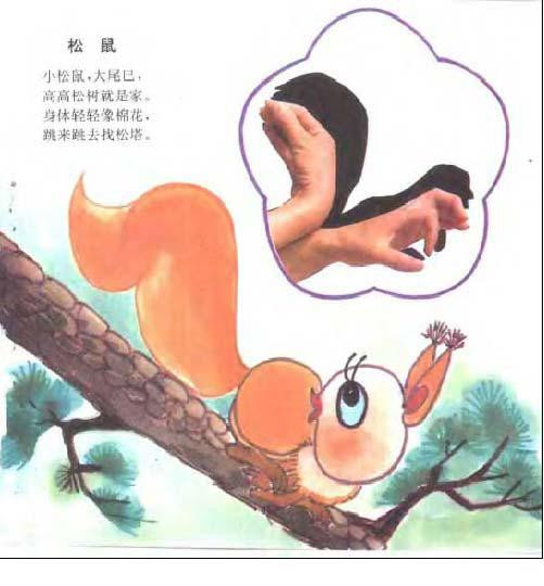松鼠图片1