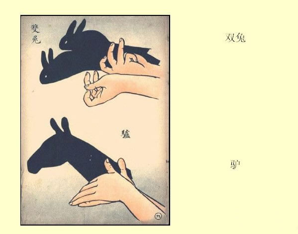 双兔和驴图片1