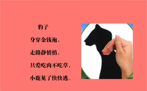 豹子图片1