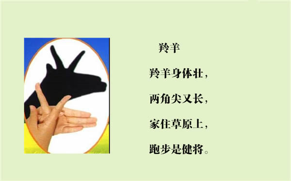 羚羊2图片1