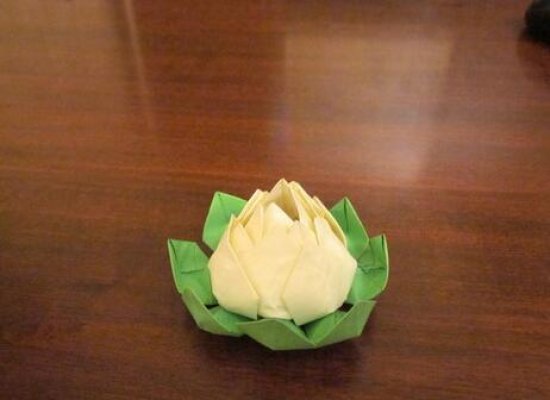 立体荷花折纸图解 莲花的折纸教程分享图片11