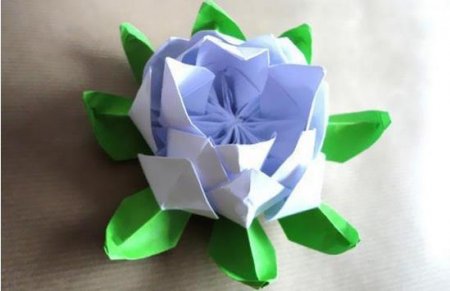 折纸花步骤大全 睡莲图片1
