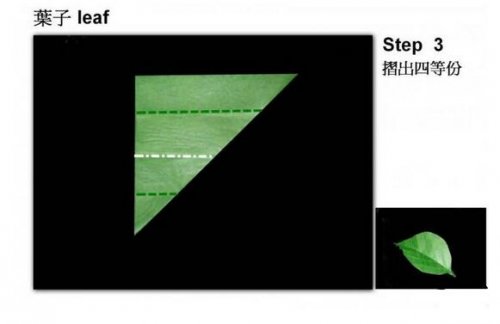 教你怎么折出逼真的树叶图片3