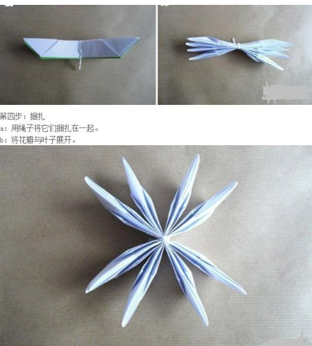折纸花步骤大全 睡莲图片7