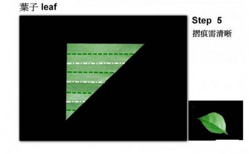 教你怎么折出逼真的树叶图片5