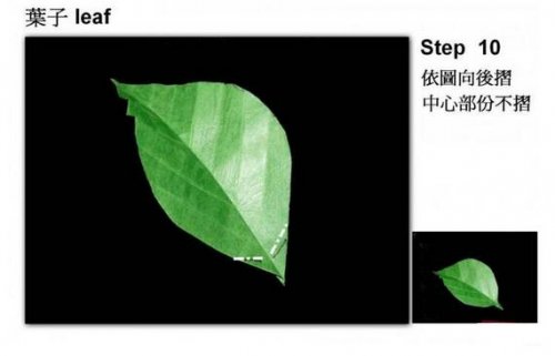 教你怎么折出逼真的树叶图片10