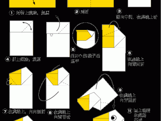 鹈鹕的折纸图解与方法教程