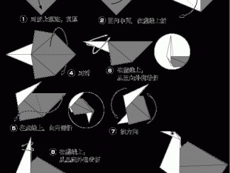 鸵鸟折纸图解与方法教程