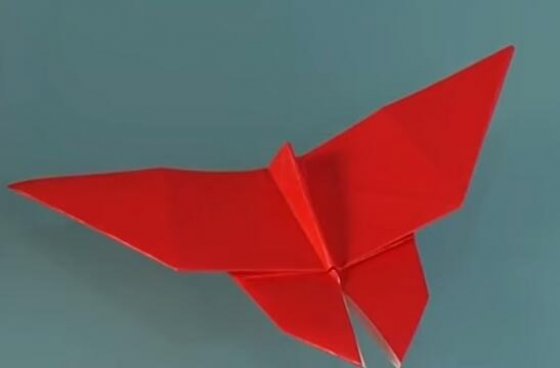 蝴蝶折纸教程图解2图片17