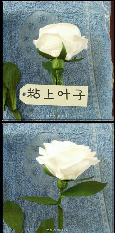 白色的玫瑰花 折纸玫瑰花步骤图解图片8