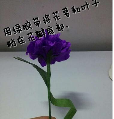 紫色的芍药花折纸花大全 图片10