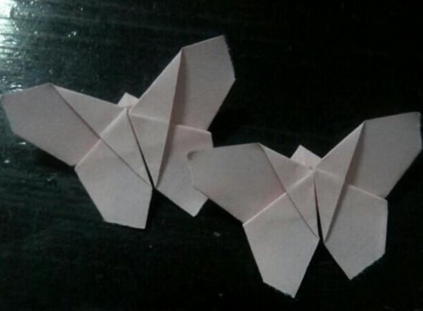 蝴蝶折纸3图片1