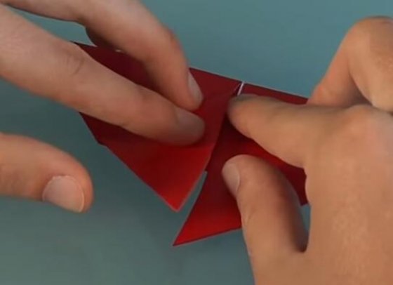 蝴蝶折纸教程图解2图片13