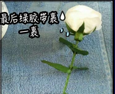 白色的玫瑰花 折纸玫瑰花步骤图解图片9