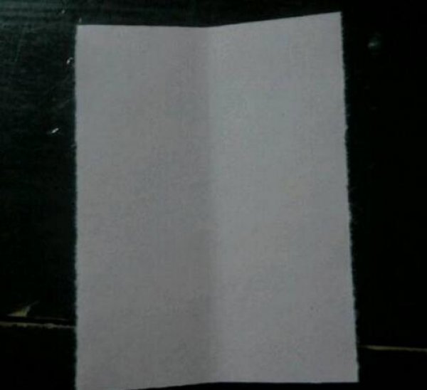 蝴蝶折纸3图片2