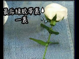 白色的玫瑰花折纸图解与方法教程