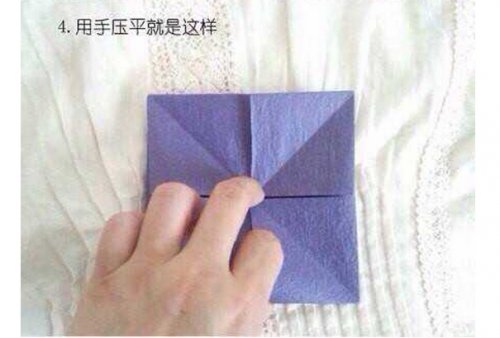 梦幻的紫色小花球图片5