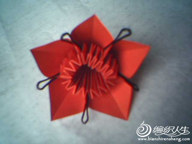 折纸玫瑰纸球花手工制作图片16