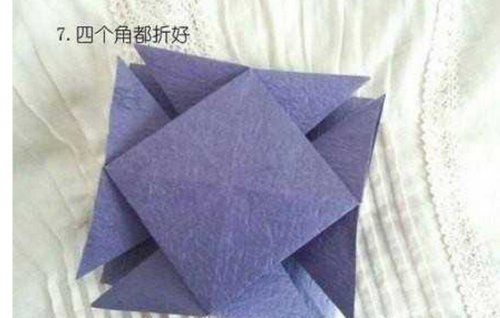 梦幻的紫色小花球图片8