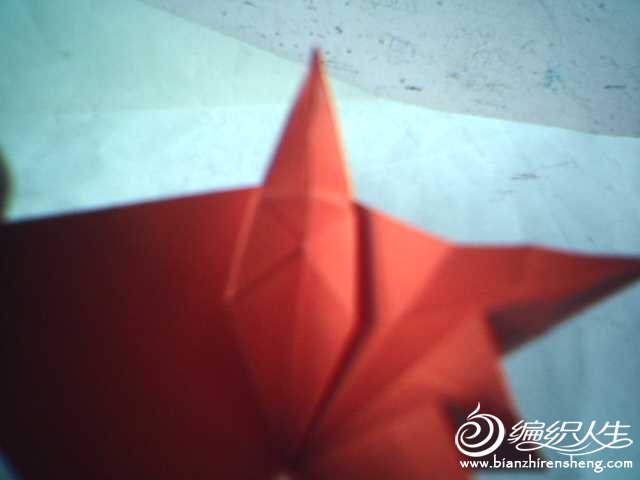 折纸玫瑰纸球花手工制作图片13
