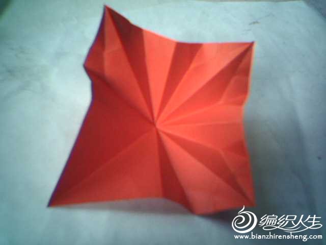 折纸玫瑰纸球花手工制作图片10