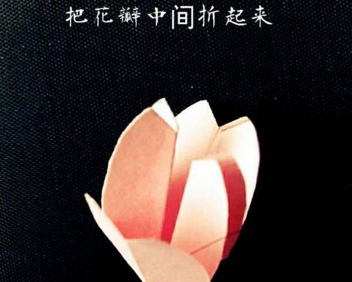 唯美的小樱花  樱花折纸大全 图解图片11