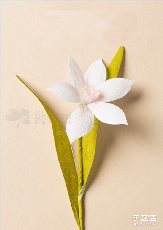 水仙花的折法图解 折纸水仙花制作方法教程图解图片1
