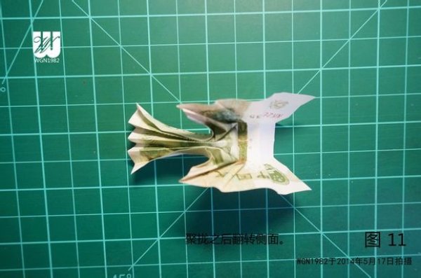 种在鞋子里面的花图片11