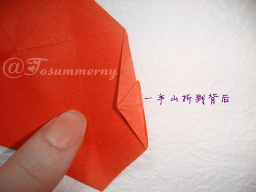图解-立体五角星花图片20