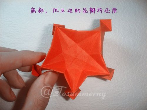 图解-立体五角星花图片23
