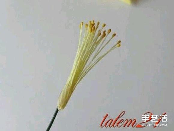 如何用海绵纸做花 海绵纸制作花朵的详细步骤图解图片8