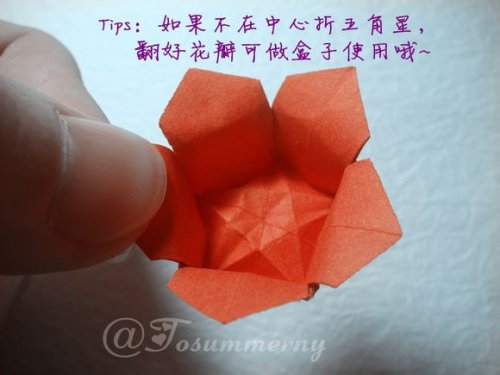 图解-立体五角星花图片30