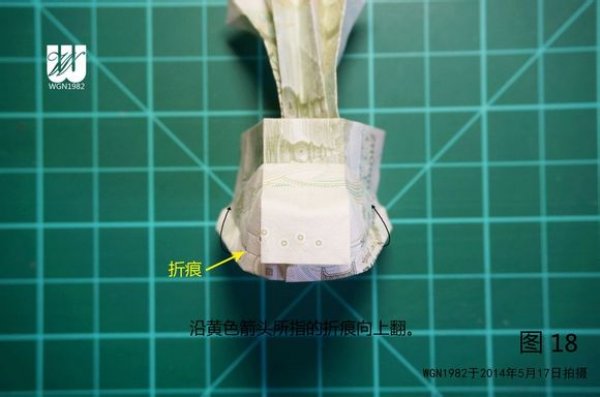 种在鞋子里面的花图片18