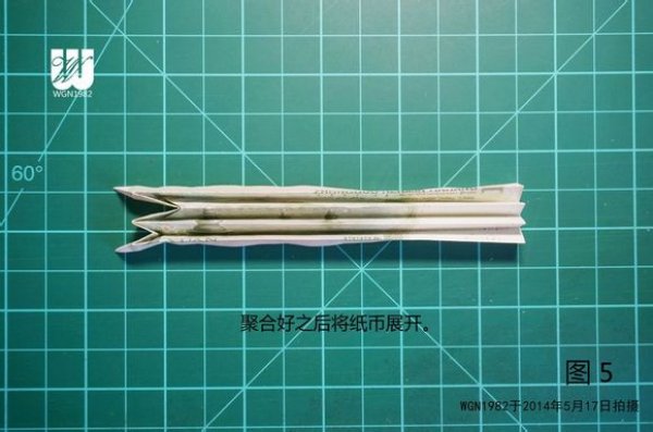 种在鞋子里面的花图片5