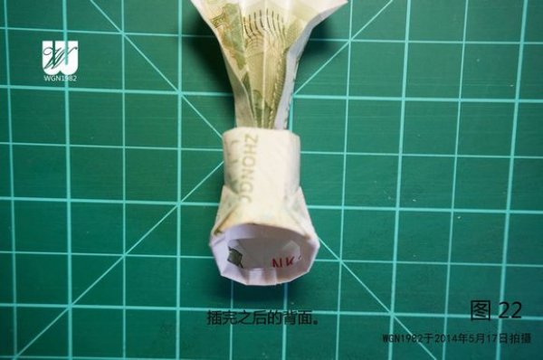 种在鞋子里面的花图片22