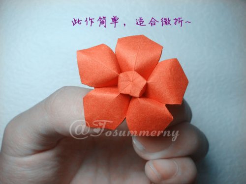 图解-立体五角星花图片29