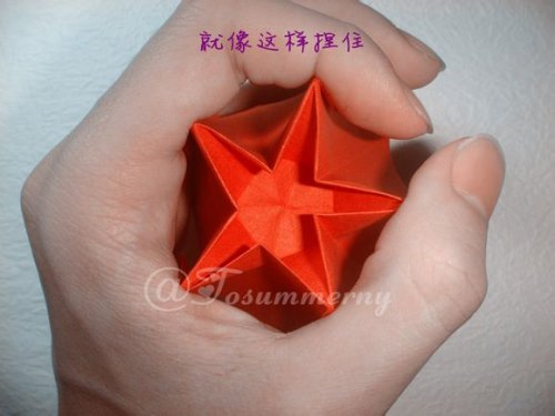 图解-立体五角星花图片24