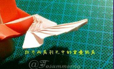 爱心戒指图片34