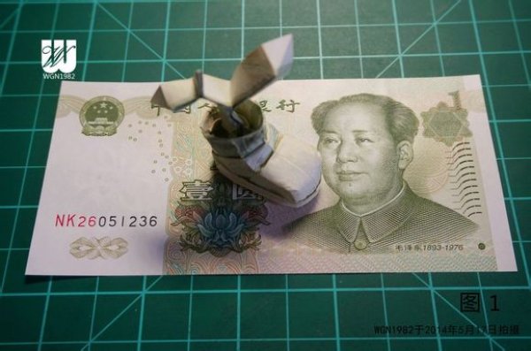 种在鞋子里面的花图片1
