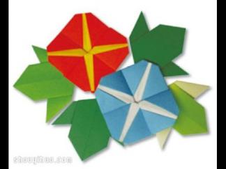 牵牛花折纸图解与方法教程