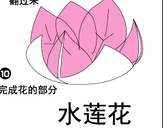 折纸水莲花的方法 步骤图解教程图片1
