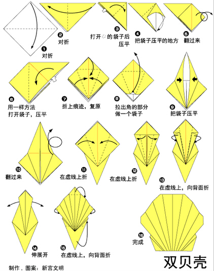 折纸—双贝壳图片1