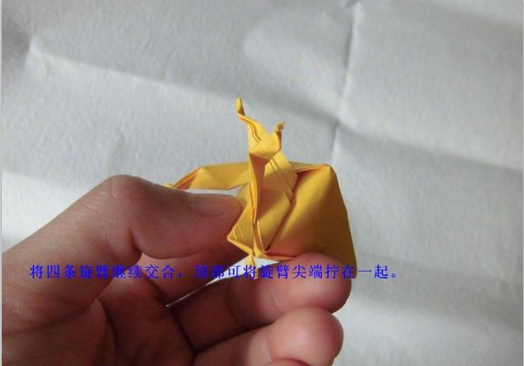 珠光海螺的折纸步骤图片12