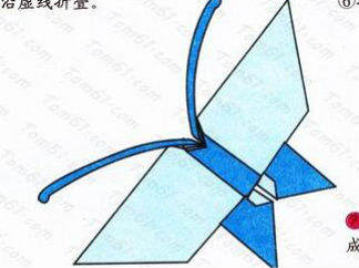 蝴蝶的7折纸图解与方法教程